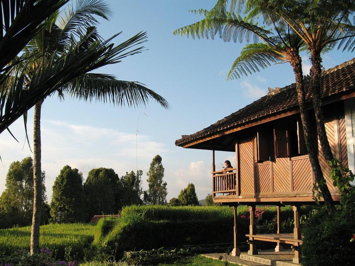 Puri Lumbung Cottages Restaurant & Spa Munduk المظهر الخارجي الصورة