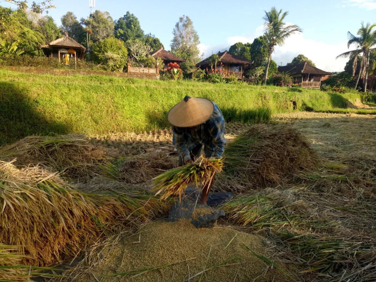 Puri Lumbung Cottages Restaurant & Spa Munduk المظهر الخارجي الصورة